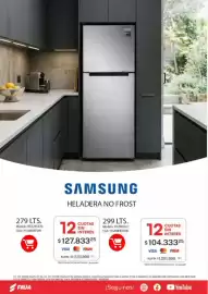 Revista Fava Página 31