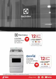 Revista Fava Página 32