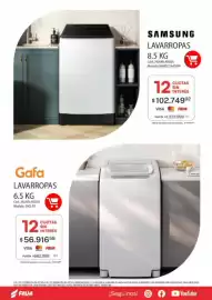 Revista Fava Página 37