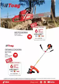 Revista Fava Página 41