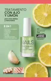 Folleto Gigot Página 29