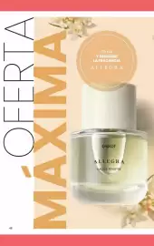 Folleto Gigot Página 64