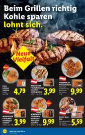 Lidl Flugblatt woche 16 Seite 10