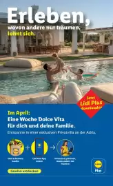 Lidl Flugblatt woche 16 Seite 2