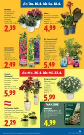 Lidl Flugblatt woche 16 Seite 29
