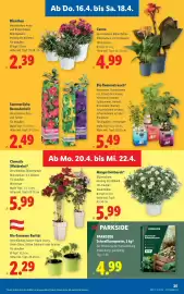 Lidl Flugblatt woche 16 Seite 29
