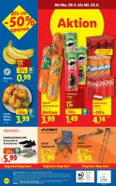 Lidl Flugblatt woche 16 Seite 30