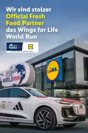 Lidl Flugblatt woche 16 Seite 48