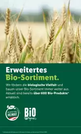 Lidl Flugblatt woche 16 Seite 50