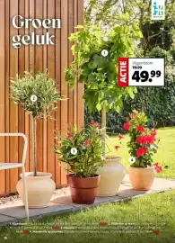 Intratuin folder week 16 Pagina 10