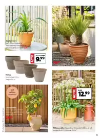 Intratuin folder week 16 Pagina 11