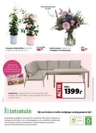 Intratuin folder week 16 Pagina 16