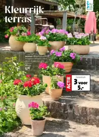 Intratuin folder week 16 Pagina 2