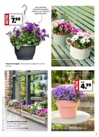 Intratuin folder week 16 Pagina 3