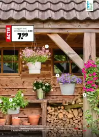 Intratuin folder week 16 Pagina 4