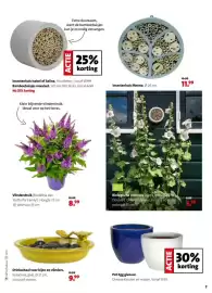 Intratuin folder week 16 Pagina 7