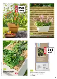 Intratuin folder week 16 Pagina 9