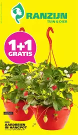 Ranzijn folder Pagina 1