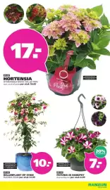 Ranzijn folder Pagina 2