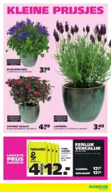 Ranzijn folder Pagina 6