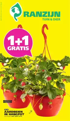 Ranzijn (geldig t/m 25-04)