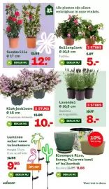 Welkoop folder week 16 Pagina 3