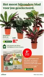 Welkoop folder week 16 Pagina 8