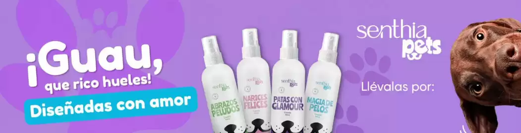 Catálogo Senthia Página 4