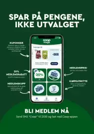 Coop Mega kundeavis uke 16 Side 13
