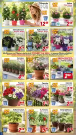 CENTERSHOP Prospekt woche 16 Seite 2