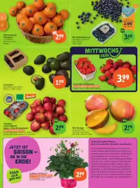 Tegut Prospekt Seite 5