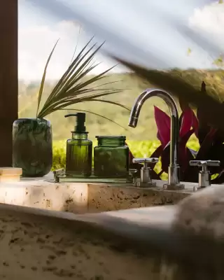 Camicado (válido até 18-04)