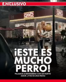 Catálogo Oxxo semana 16 Página 1
