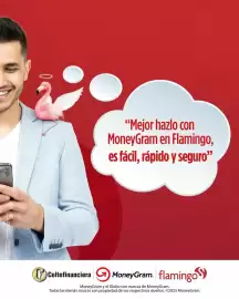 Catálogo Flamingo semana 16 Página 1