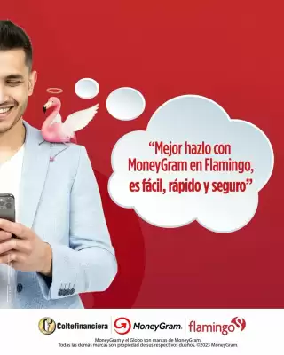 Flamingo (válido hasta 18-04)
