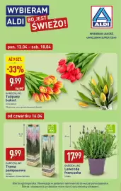 ALDI gazetka tydzień 16 Strona 6