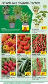 Toom Baumarkt Prospekt woche 16 Seite 4