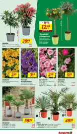Toom Baumarkt Prospekt woche 16 Seite 7