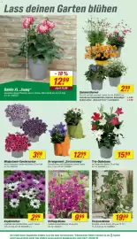 Toom Baumarkt Prospekt woche 16 Seite 8