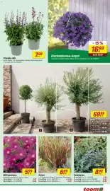 Toom Baumarkt Prospekt woche 16 Seite 9