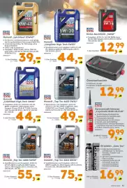 Globus Baumarkt Prospekt woche 16 Seite 15