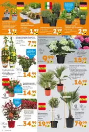 Globus Baumarkt Prospekt woche 16 Seite 2