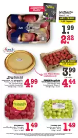 Scheck-in-Center Prospekt woche 16 Seite 21