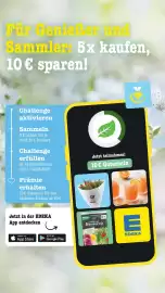 Scheck-in-Center Prospekt woche 16 Seite 43