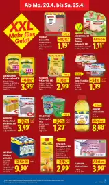 Lidl Prospekt woche 17 Seite 13