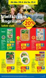 Lidl Prospekt woche 17 Seite 19