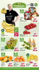 Wasgau Prospekt woche 16 Seite 6