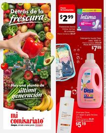 Catálogo Mi Comisariato semana 16 Página 4