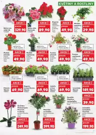 Kaufland leták týden 16 Strana 7