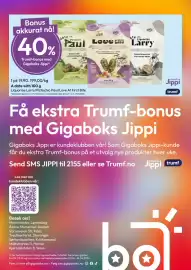 Gigaboks kundeavis uke 16 Side 13